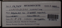 Image Associated With the Occurence
